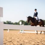Lettres de manège : repères, figures et matériel