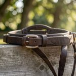 Équi-meeting Uzès 2026 : traction et portage équin