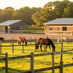 Équitation à Montgeron : le guide du centre équestre (2026)
